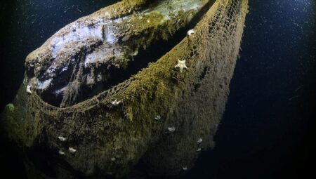 Denizlerde “hayalet ağ” tehdidi: Dünyayı 18 Kez sarabilecek uzunlukta
