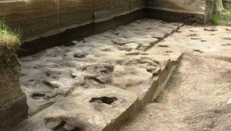 Dünyanın en eski insan ayak izleri bulundu: 300 bin yıllık
